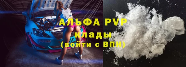 эйфоретик Ладушкин