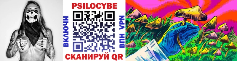 Галлюциногенные грибы MAGIC MUSHROOMS  KRAKEN как войти  Кунгур 